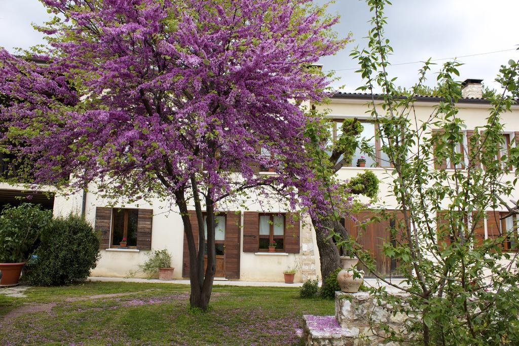 B&B Alte Paderno del Grappa Exterior foto