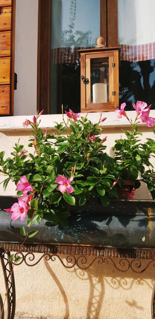 B&B Alte Paderno del Grappa Exterior foto